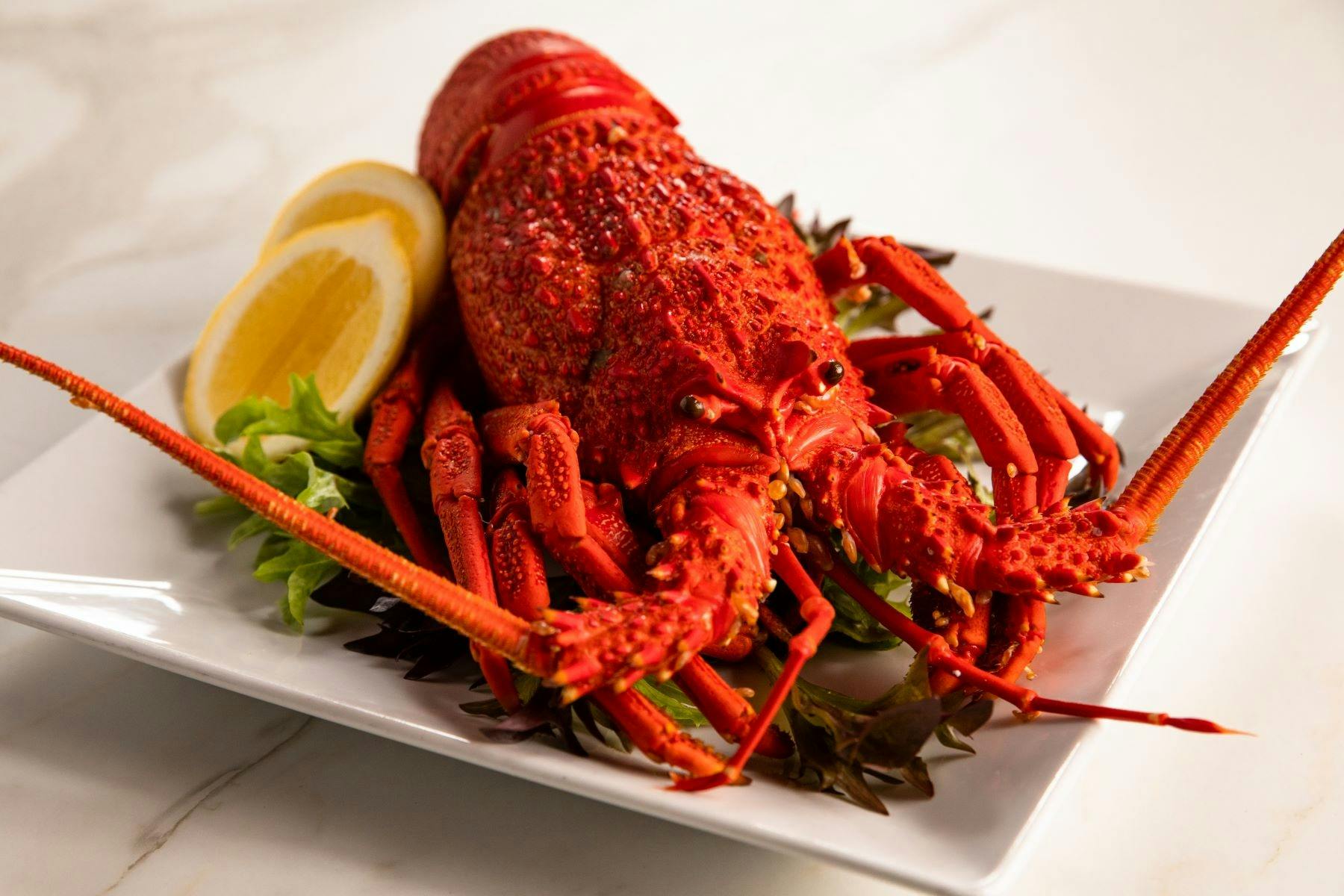 Fresh Local Crayfish