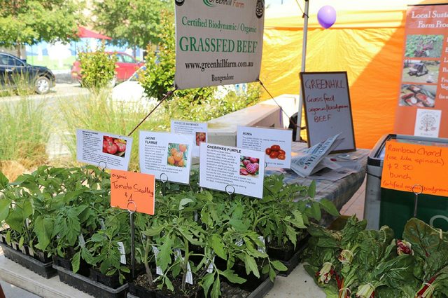 Bungendore Southern Harvest Farmers Markets