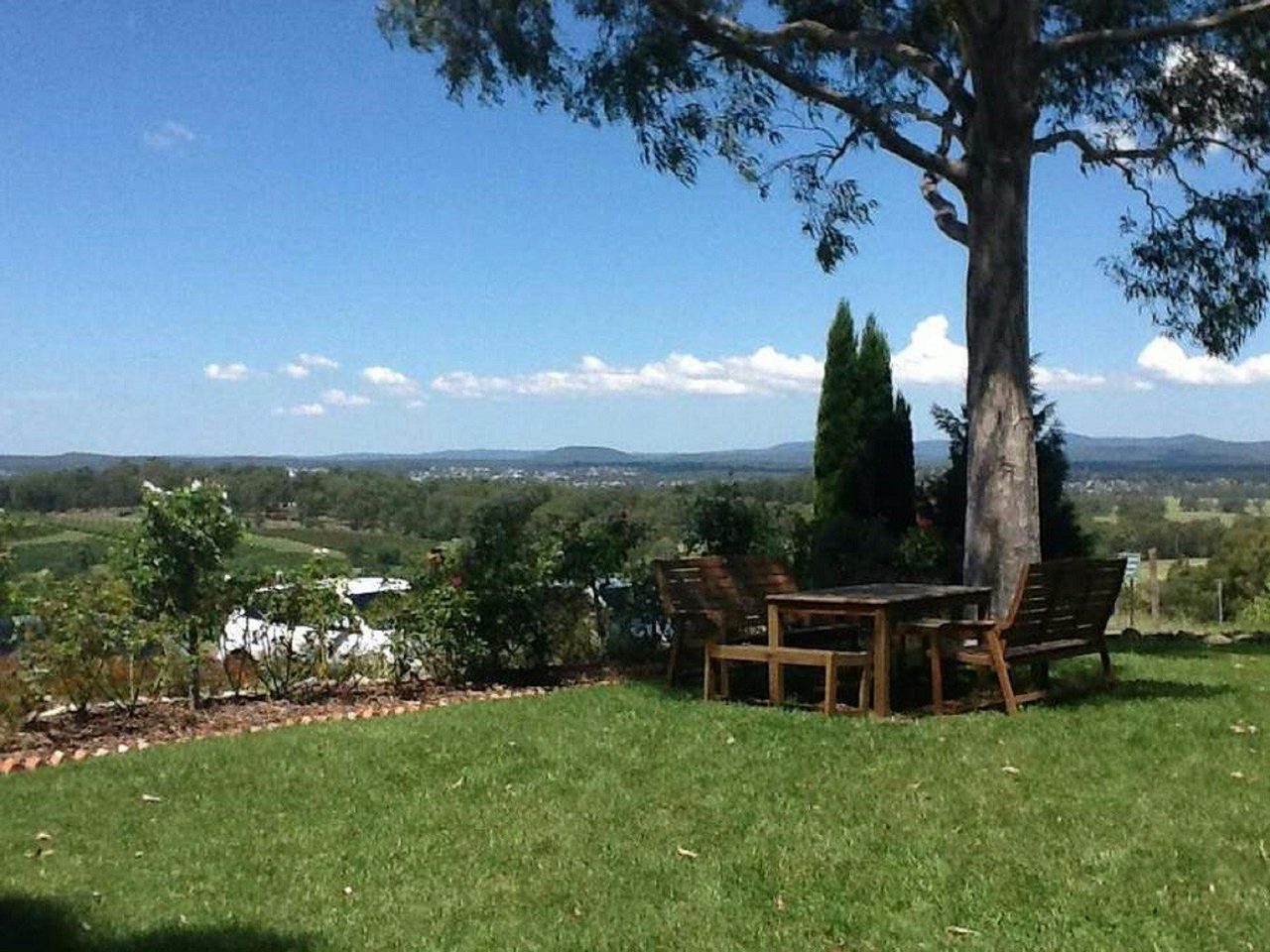 Petersons Wines