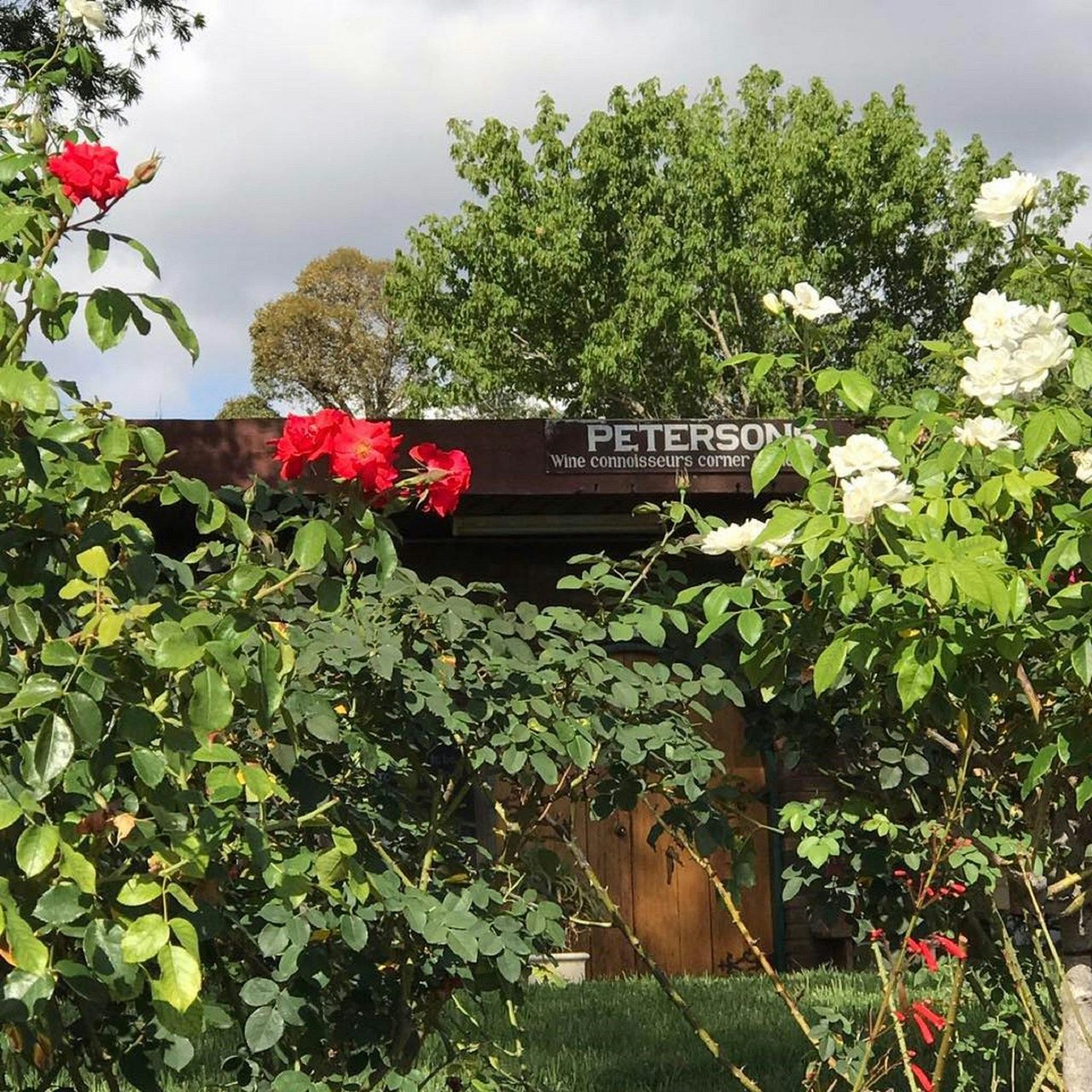 Petersons Wines