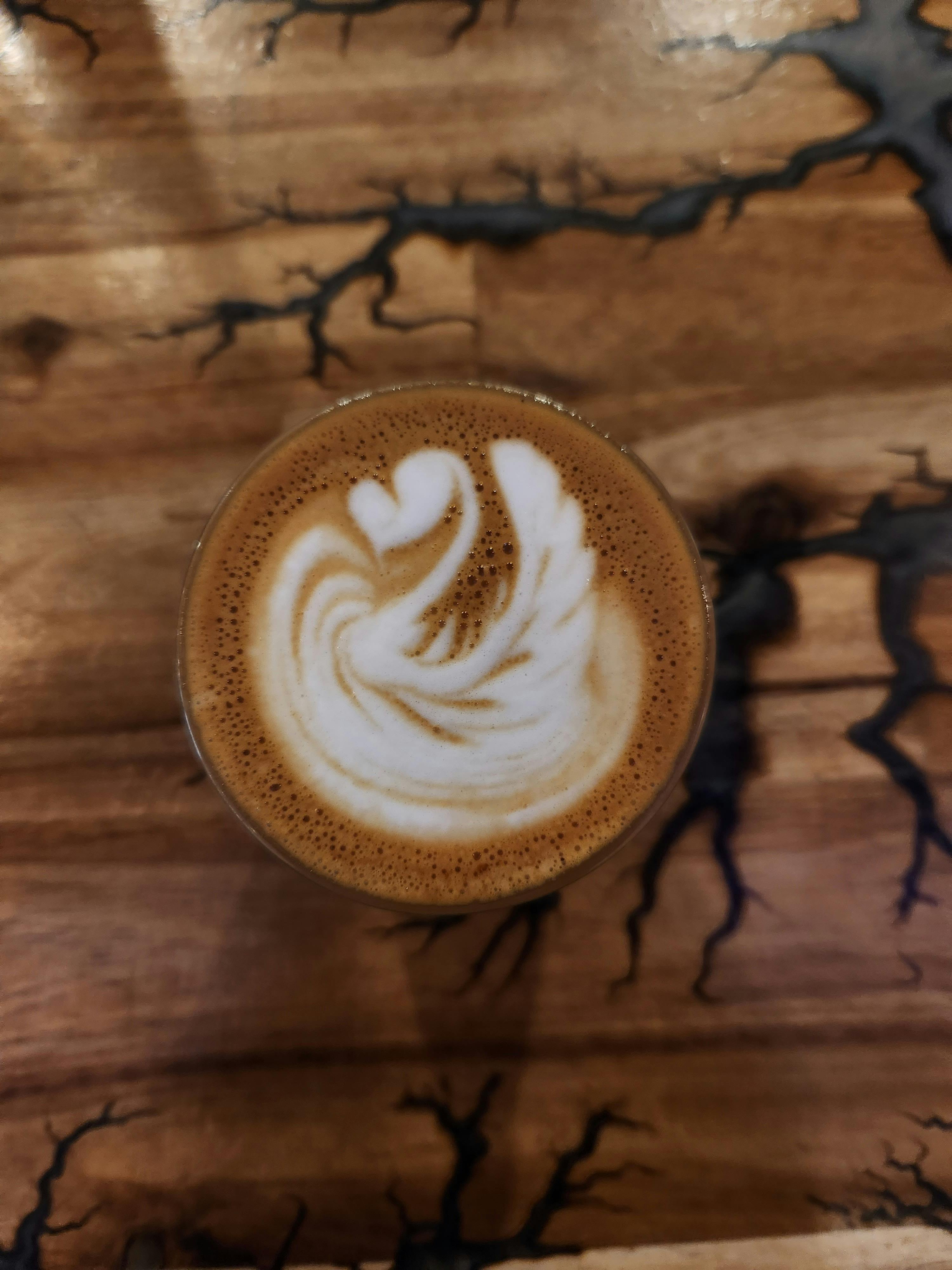Swan Latte Art by our talented baristas!