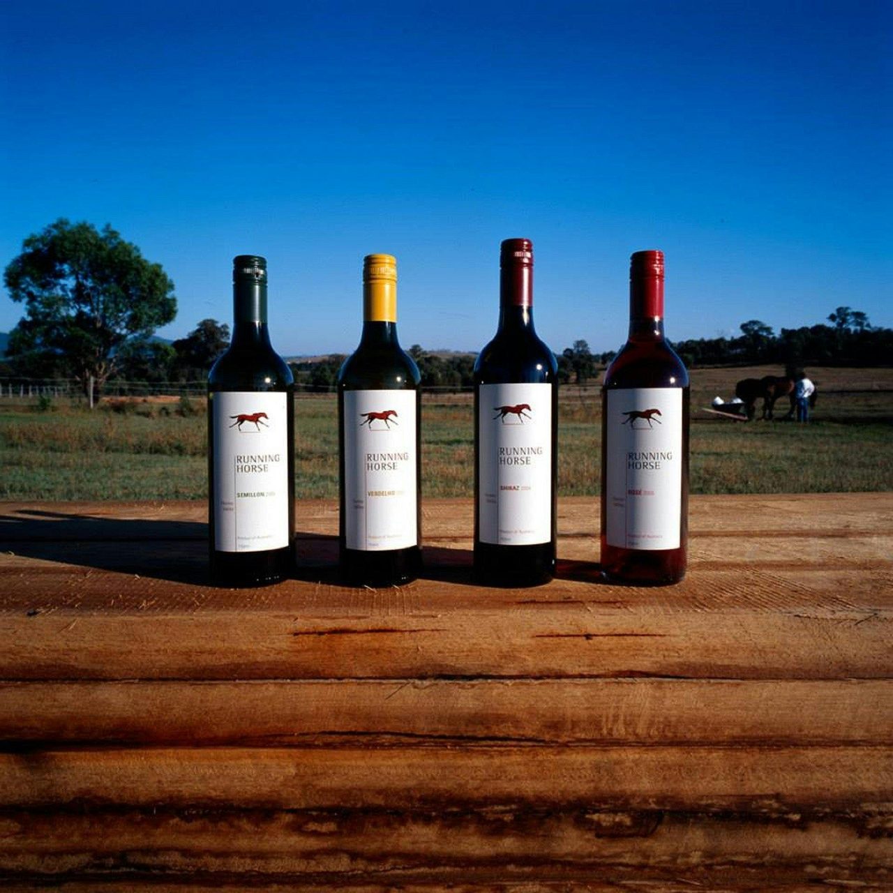 Beautiful aged wines