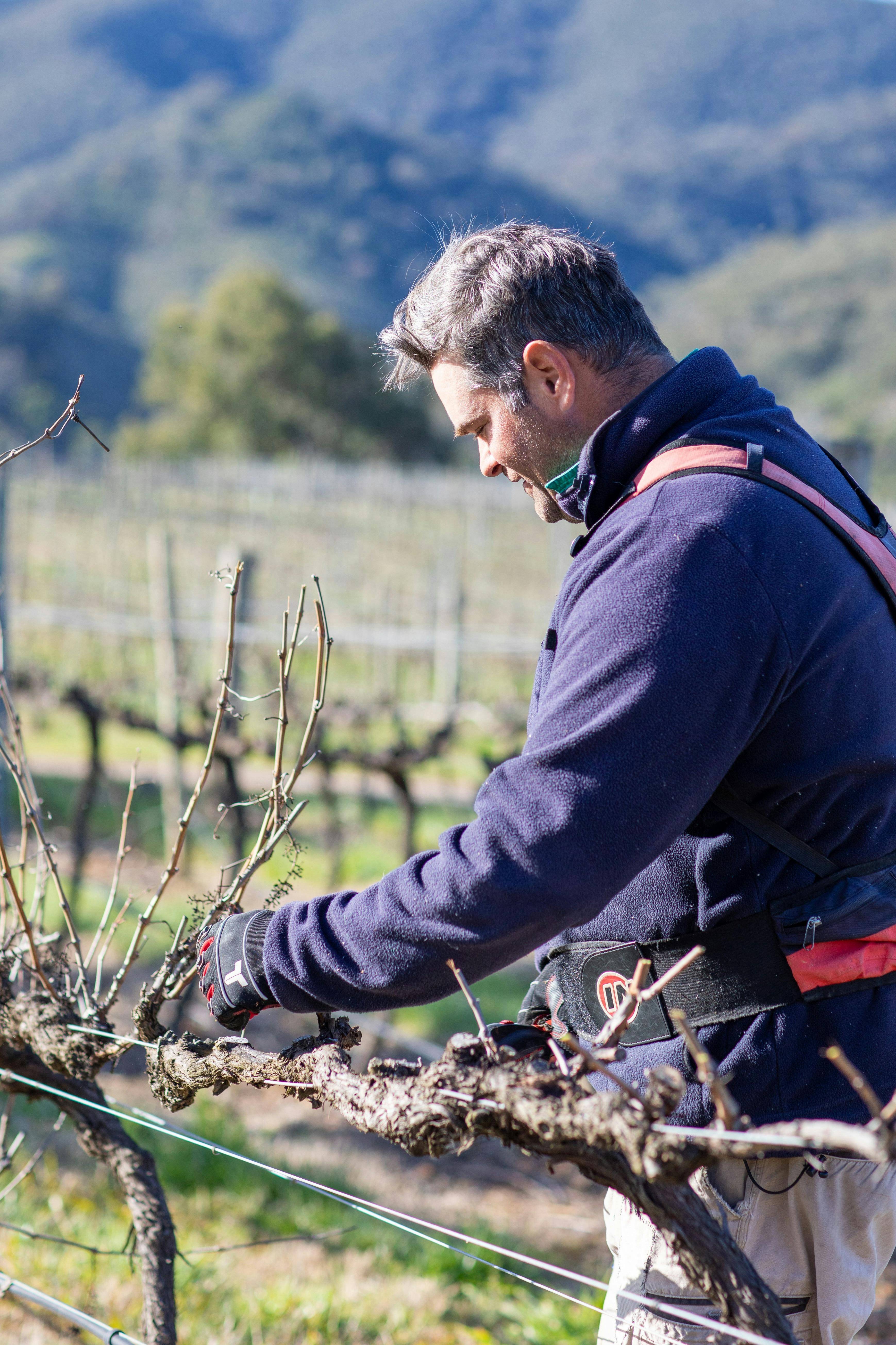 Jean-Francois @ work