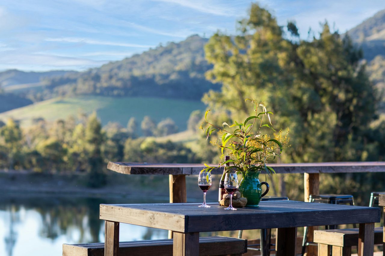 Cellar Door View