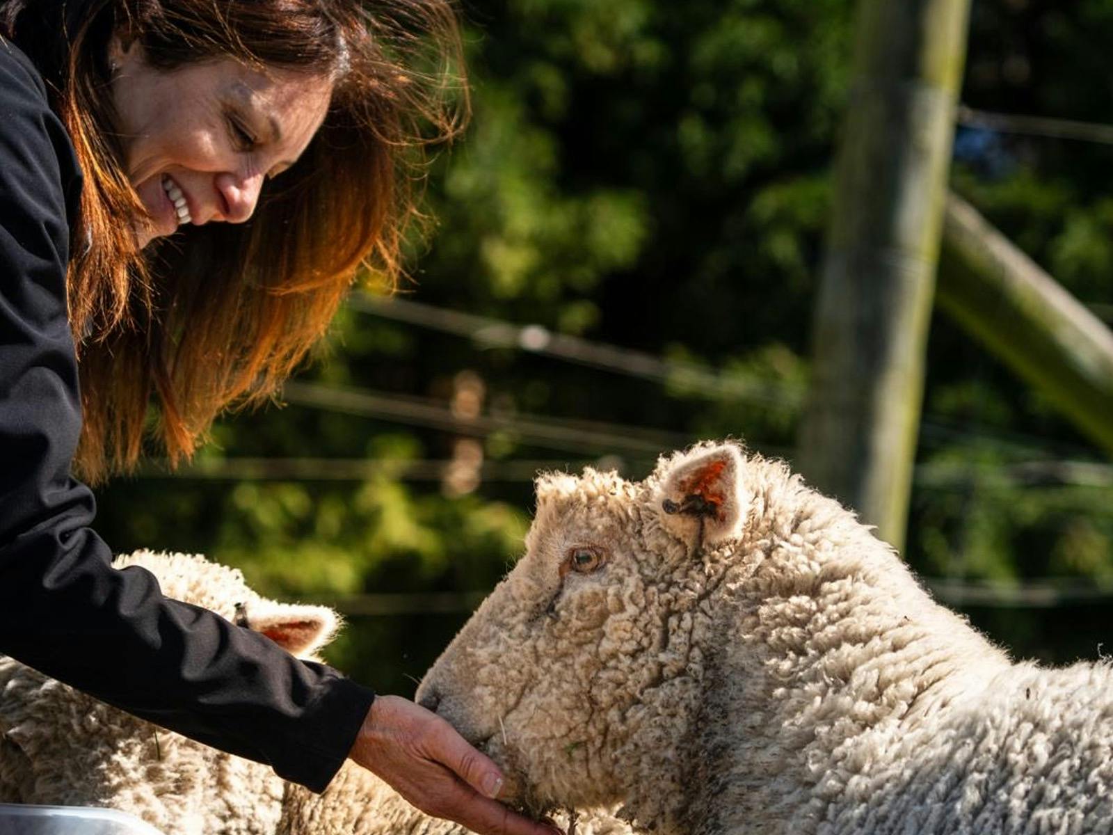 Sandra and her vineyard maintenance team