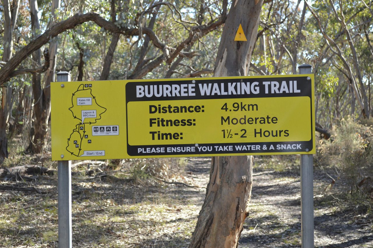 Buurree Walking Train Start