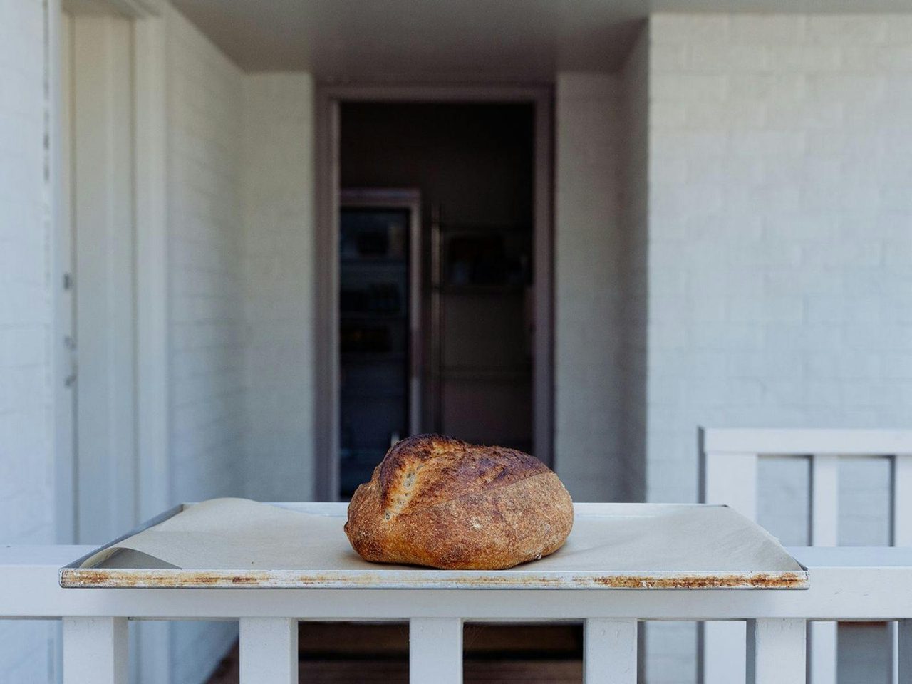 Sour Dough Loaf