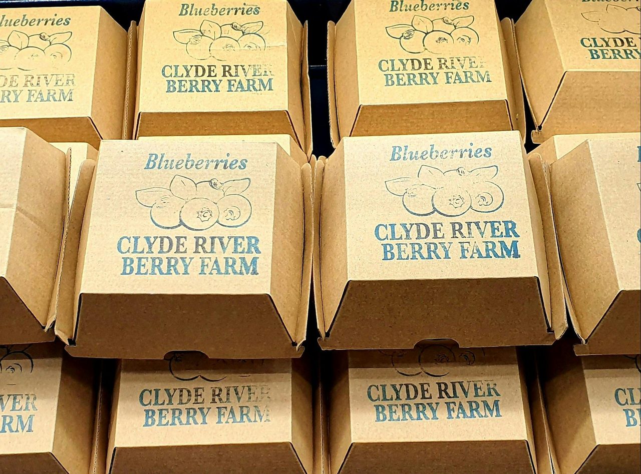 Local Clyde river Blueberries