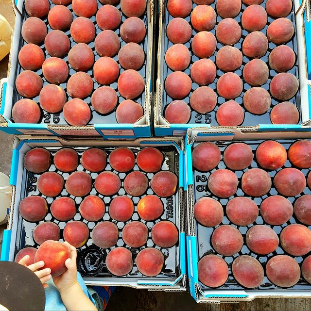 Southlands Fruit and Vegetables