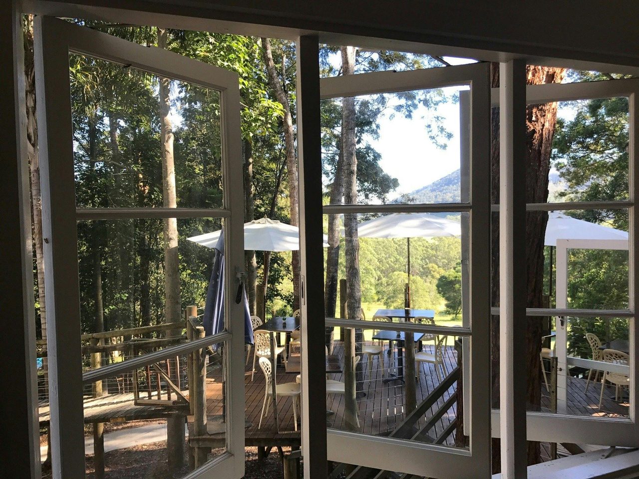 View from Bar