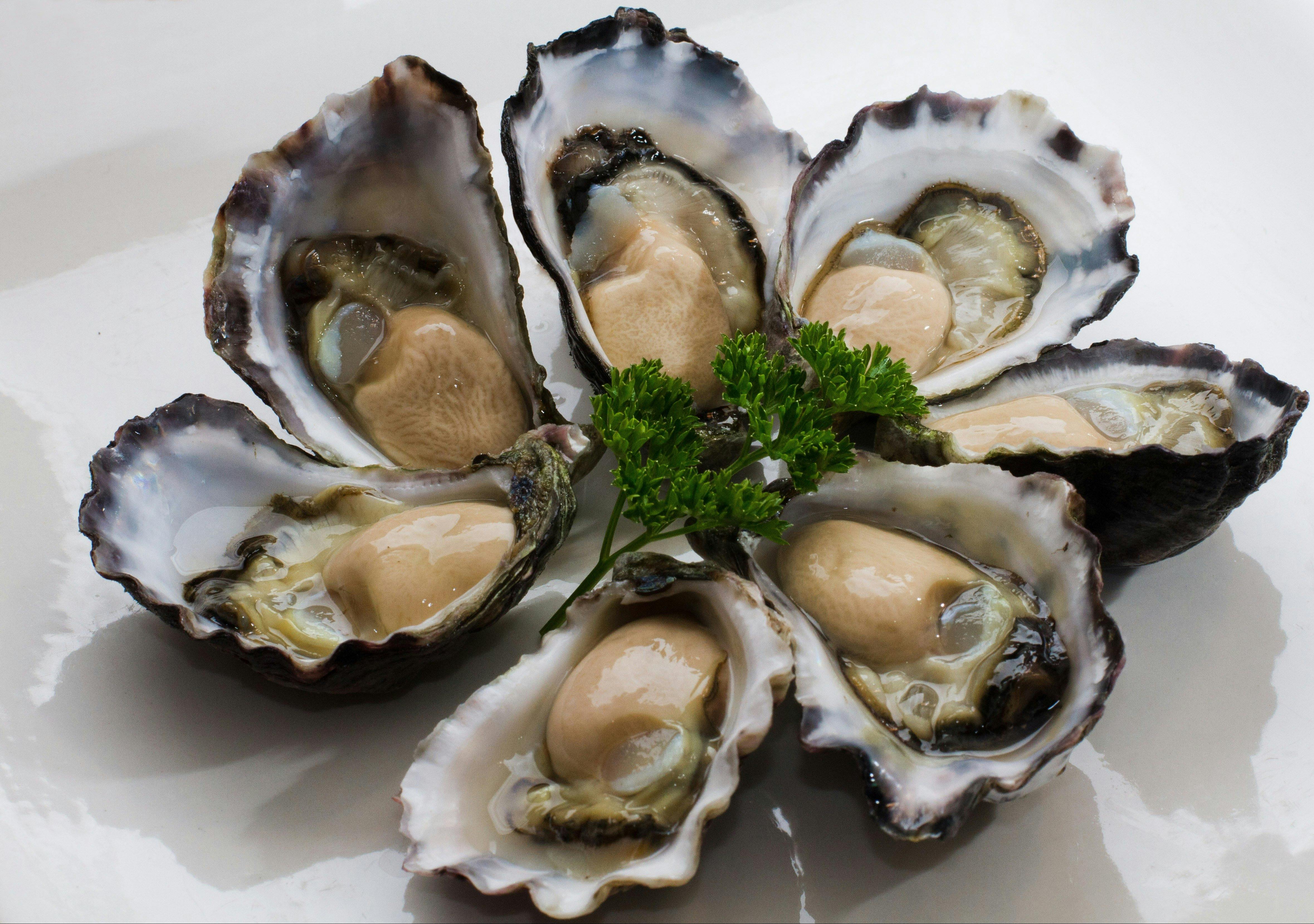 Tathra Oysters