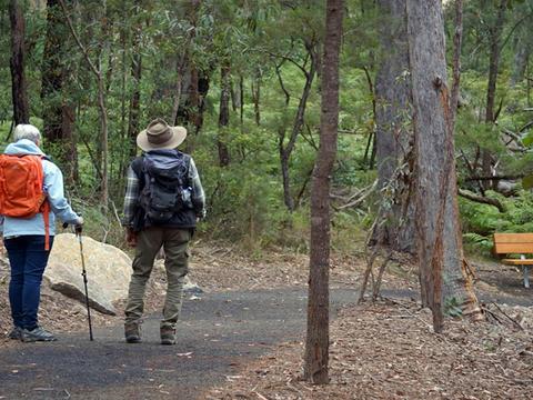 Boonoo Boonoo Falls picnic area
