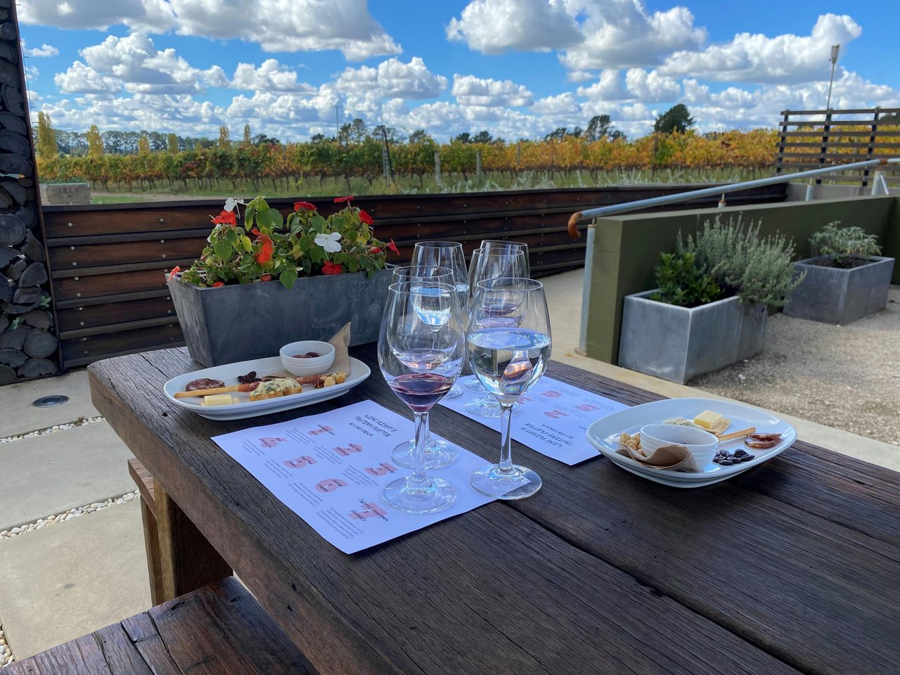 Tasting Flight - Food & Wine Pairing