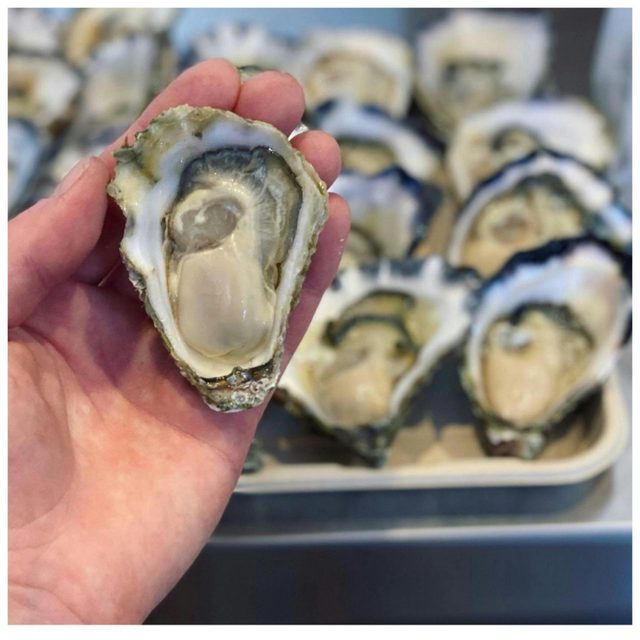 Seasalt Fishmongers Toormina