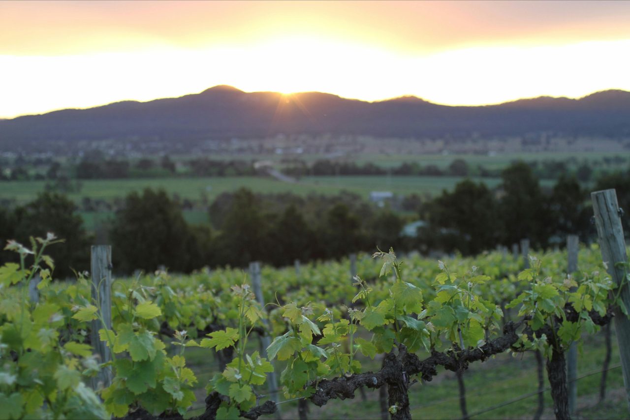 Sunset over precious town Denman