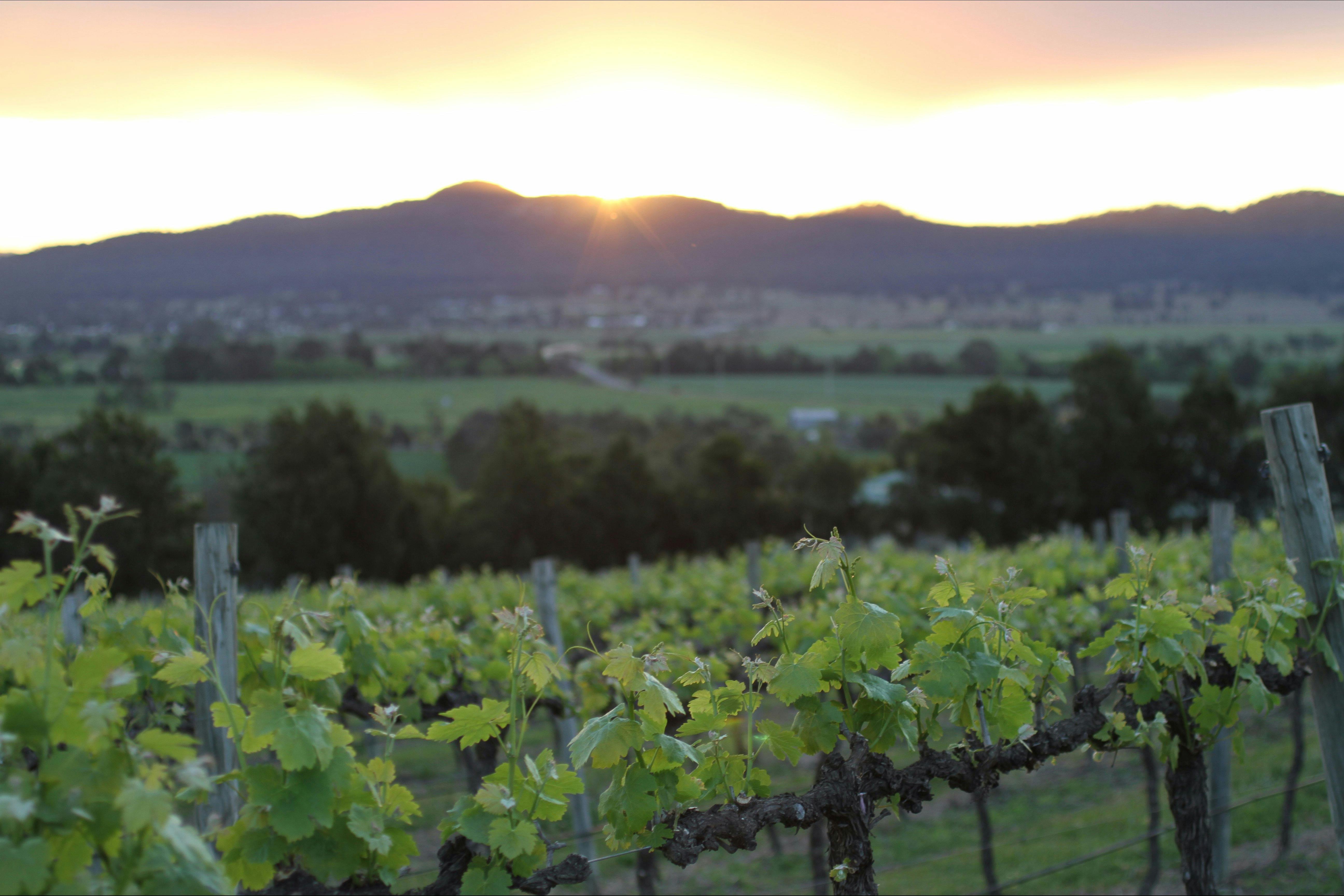 Sunset over precious town Denman