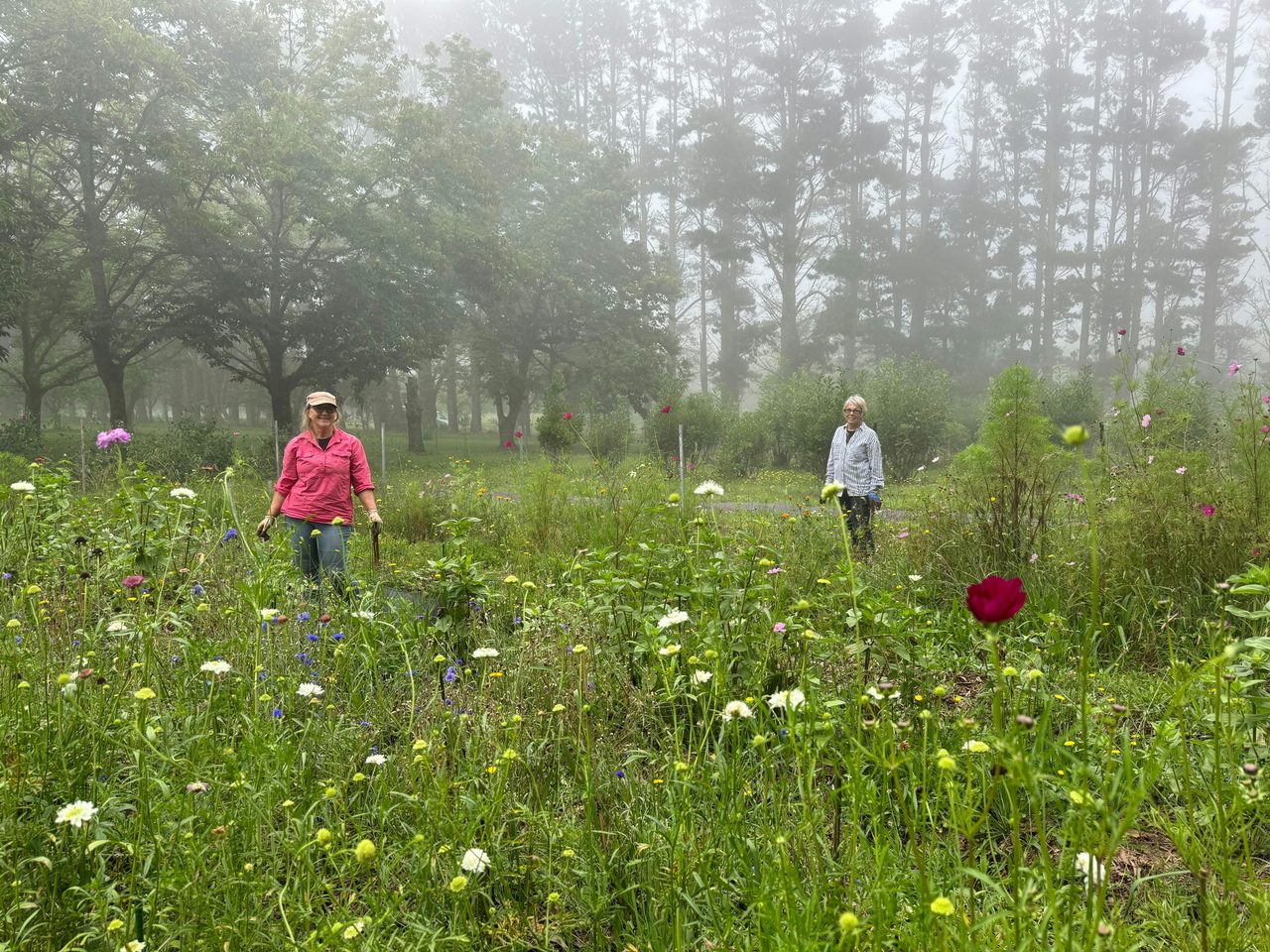 Flower Garden