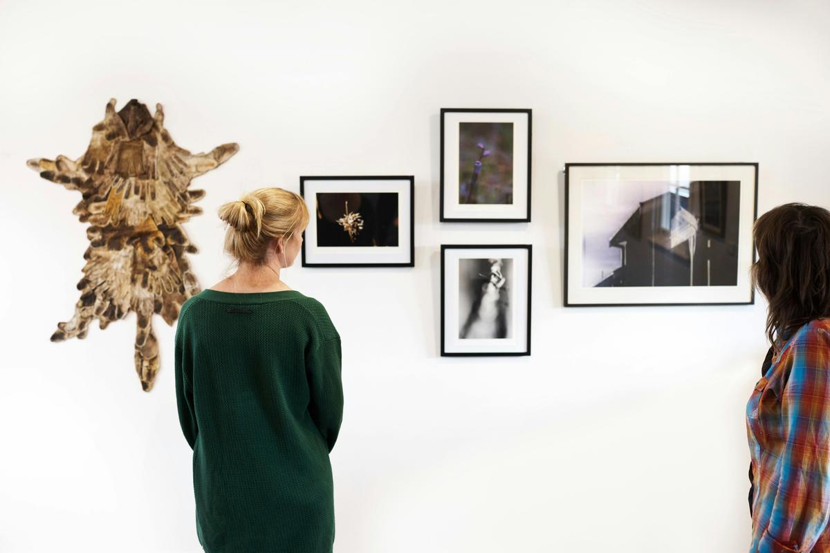 Braidwood Regional Arts Gallery